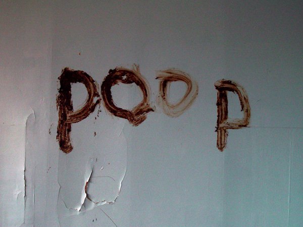poop.jpg